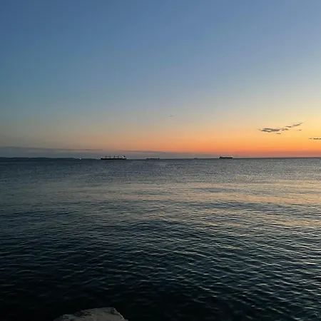 Art Loft ゲストハウス トリエステ